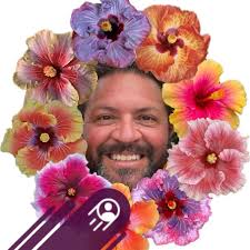 Southern CA hibiscus plant sources?