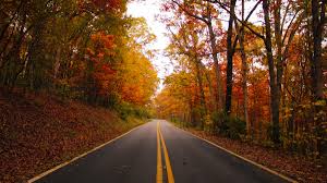 Check spelling or type a new query. Best Fall Photos Of 2020 In Virginia S Blue Ridge Mountains Roanoke Va Best Fall Colors