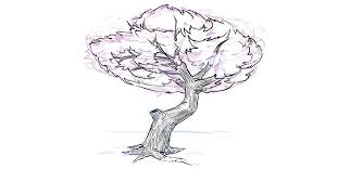 With the tip of your pencil draw sharper contour outline. How To Draw A Tree A Step By Step Tutorial Adobe