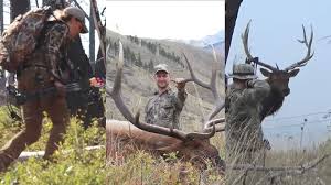 Please, try to prove me wrong i dare you. How Much Do You Know About Elk Hunting Zoo