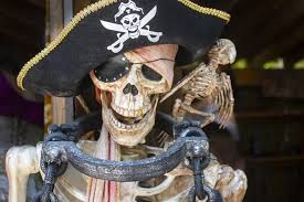 It was a tough line of work: Pirate Pets Myth Or Reality Pirate Ship Vallarta Blog