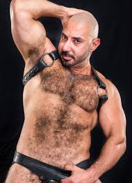 Amir Badri | Gay Porn Star Database at WAYBIG HD phone wallpaper