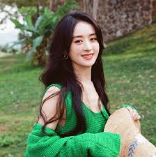 Image result for zhao liying