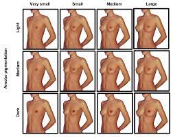 Breast size comparison nude