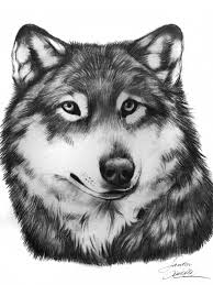 Maybe you would like to learn more about one of these? Wolf Face By Themysticwolf On Deviantart