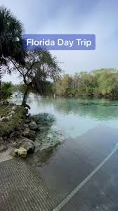 Exploring Silver Glen Springs in Florida