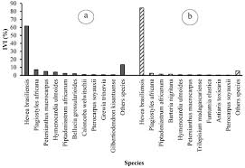Image result for Hymenocardia ulmoides