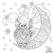 Android device apk that includes different coloring ideas, explore the beauty of colors in moon coloring apk. Christmas Owl On Moon Christmas Adult Coloring Pages