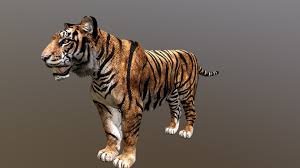Посмотрите больше идей на темы 3d models of tiger for your rendering projects, games, ar or vr. Bengal Tiger 3d Model By Ultamateterex2 Ultamateterex2 321191a