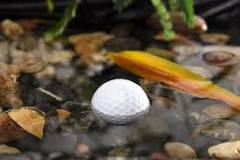 Image result for where to find used golf balls