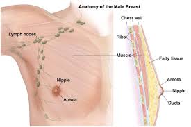 12 ﻿ if your breast cancer spreads to your liver, you could have pain in the upper right. Breast Cancer In Men Early Symptoms Risk Factors Involved And Treatment