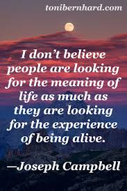Quotes On Images All Quotes On Images Joseph Campbell Quotes All Quotes Quotes