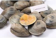Are cherrystone clams good?