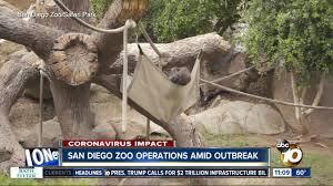 Spying On Animals Moments From Zoo Surveillance Feeds Time
