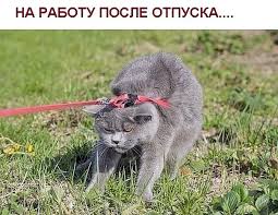 ÐšÐ°Ñ€Ñ‚Ð¸Ð½ÐºÐ¸ Ð¿Ð¾ Ð·Ð°Ð¿Ñ€Ð¾ÑÑƒ Ð²Ð¸Ñ…Ñ–Ð´ Ð½Ð° Ñ€Ð¾Ð±Ð¾Ñ‚Ñƒ Ð¿Ñ–ÑÐ»Ñ Ð²Ñ–Ð´Ð¿ÑƒÑÑ‚ÐºÐ¸