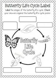 Life Cycle Of A Butterfly Coloring Page Butterfly Life Cycle Animal Life Cycles Life Cycles