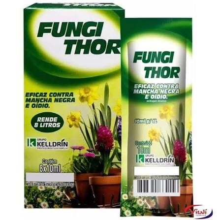 FUNGI THOR