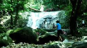 Hutan lipur sungai sedim ticket price, hours, address and reviews. Air Terjun Hutan Lipur Sg Sendat 2013 Youtube
