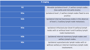 Image result for Breast Cancer Staging