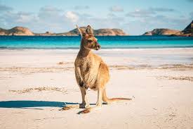 Pin On Australia Travel