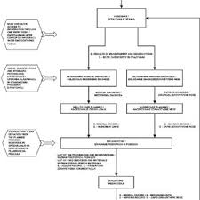 Flow Chart Diagram For Medication Administration Following