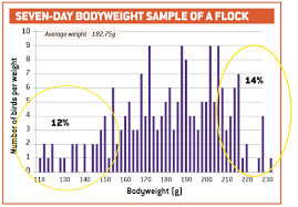 How To Optimise Feed Intake In Young Broilers Farmers Weekly