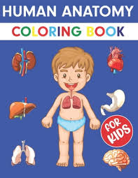 Download Human Anatomy Coloring Book For Kids Over 50 Human Body Coloring Pages Great Gift For Boys Girls Ages 4 5 6 7 And 8 Years Old Coloring Book Paperback Mcnally Jackson Books