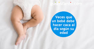 Las Veces Que Un Bebe Debe Hacer Caca Al Dia Segun Los Meses Que Tenga