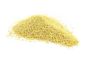 Buckwheat is the millet type you should consume if you want to lose weight. Organic Australian Hulled Millet Australia The Source Bulk Foods