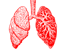Certain risk factors have been shown to play a part in causing cells to become cancerous. Lung Cancer Early Signs Causes Symptoms Diagnosis And Treatment Boldsky Com