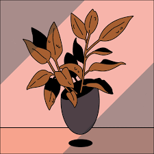 Maybe you would like to learn more about one of these? 10 Houseplants Not Even You Can Kill Snake Plant Images Money Plant Images Fern Images