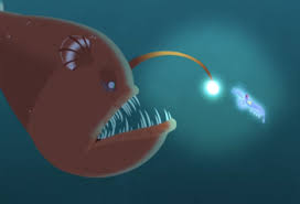 You've been trapped in the eerie place known as rock bottom, and the only way out is to take the next bus. Alluring Anglerfish Tv Tropes