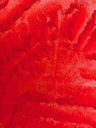 Neon Red Bayside Soap