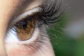 We did not find results for: Las Pestanas Crecen El Ciclo De Vida De Tus Pestanas Respetalas