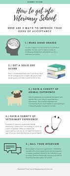 How To Get Into Vet School Veterinary School Becoming A Veterinarian Veterinary