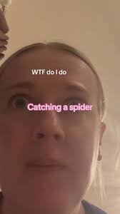 Catching a Spider: Tips for Effective Removal