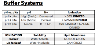 everything you need to know about ph pka minimalist