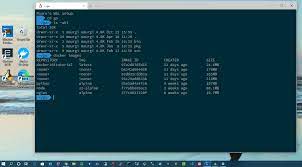 Entering the following command in a windows powershell terminal to display the installed linux distros and their wsl version Running Ubuntu On Windows 10 With Wsl2 Part 2 Windows Terminal By Mauro Giusti Medium