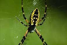 It is next to the pacific ocean. 1 Roseburg Pest Control Or Roseburg Pest Control