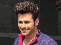 Pearl hails from an affluent business with punjabi background. 8 Things You Didn T Know About Pearl V Puri Super Stars Bio