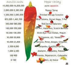 Chilli Hotness A3recipes Com Stuffed Peppers Chilli Bhut Jolokia