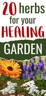 20 Medicinal Herbs To Grow In Your Healing Garden Make Your Own Herbal Remedies With Plants You Grow In 2020 Healing Garden Medicinal Herbs Garden Medicinal Herbs