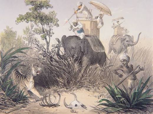 British Officers tiger shooting in India by English School