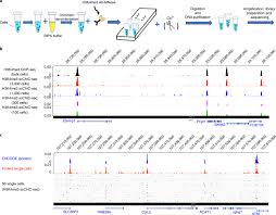 Insights into their influence on gene expression protocols. Single Cell Chromatin Immunocleavage Sequencing Scchic Seq To Profile Histone Modification Nature Methods