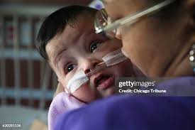 1.150 Usa Kacie Stock Photos, High-Res Pictures, and Images