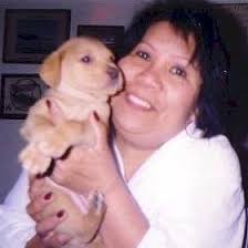 Miles Hawk Speed Six