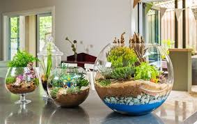 Terarium hanya memerlukan perawatan minimal dan sangat cocok bagi orang yang tidak punya bakat berkebun dan tidak memiliki banyak waktu. Membuat Terrarium Anda Sendiri Myrokan