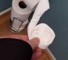 Check spelling or type a new query. Toilet Paper Roses Hometalk