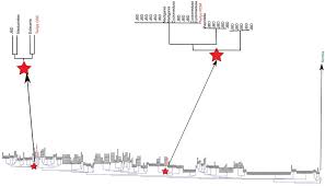 Custom rom dna zero for samsung galaxy j2. Enigma On5 Rom