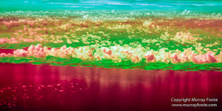 Travellers of this city can choose to explore from lush rainforests, crystal clear waters, stunning mountain peaks, to the contemporary landscape of the city's architecture and heritage. Kl To Kk Kuala Lumpur To Kota Kinabalu Murray Foote